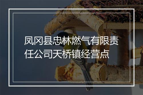 凤冈县忠林燃气有限责任公司天桥镇经营点