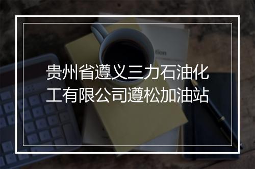 贵州省遵义三力石油化工有限公司遵松加油站