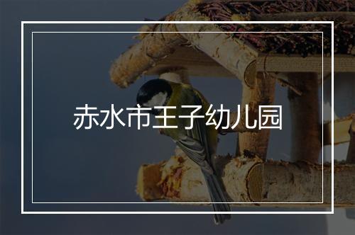 赤水市王子幼儿园