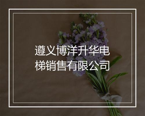 遵义博洋升华电梯销售有限公司