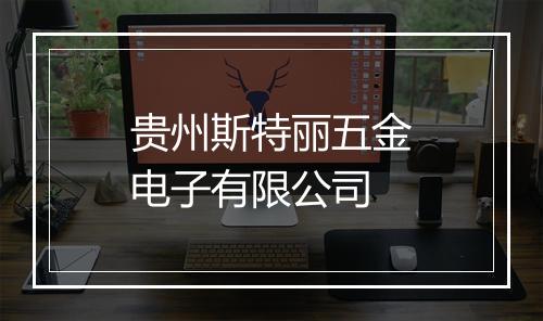 贵州斯特丽五金电子有限公司