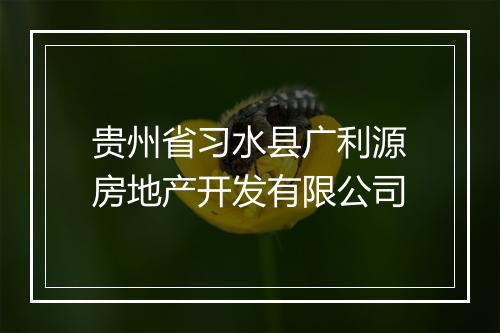 贵州省习水县广利源房地产开发有限公司