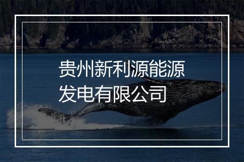 贵州新利源能源发电有限公司