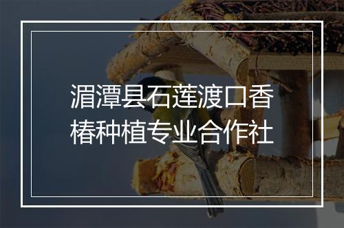 湄潭县石莲渡口香椿种植专业合作社