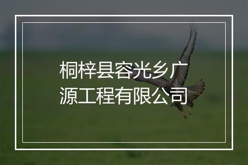 桐梓县容光乡广源工程有限公司