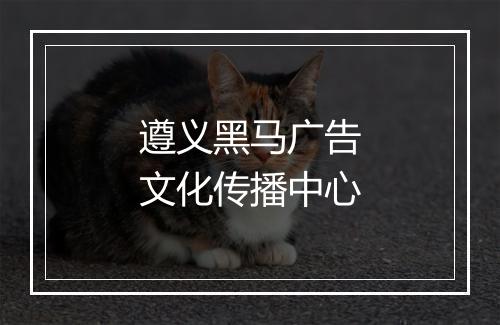 遵义黑马广告文化传播中心