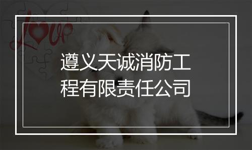 遵义天诚消防工程有限责任公司