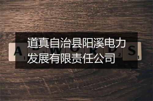 道真自治县阳溪电力发展有限责任公司