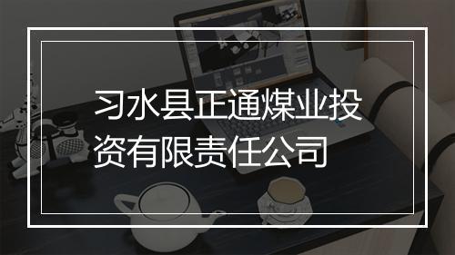 习水县正通煤业投资有限责任公司