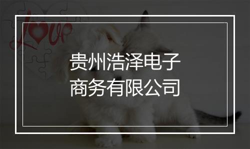 贵州浩泽电子商务有限公司