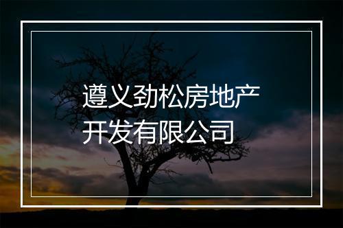 遵义劲松房地产开发有限公司