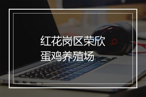 红花岗区荣欣蛋鸡养殖场