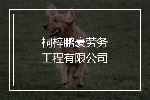 桐梓鹏豪劳务工程有限公司