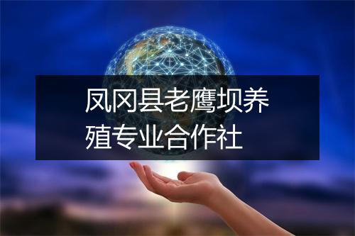 凤冈县老鹰坝养殖专业合作社