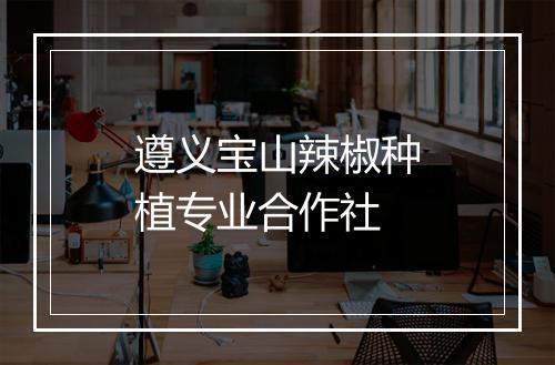 遵义宝山辣椒种植专业合作社