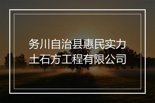 务川自治县惠民实力土石方工程有限公司