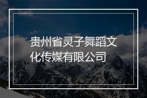 贵州省灵子舞蹈文化传媒有限公司