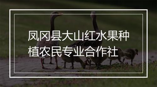 凤冈县大山红水果种植农民专业合作社