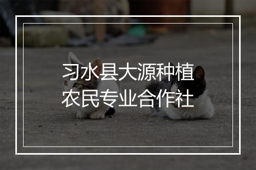 习水县大源种植农民专业合作社