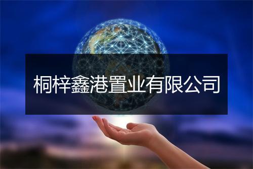 桐梓鑫港置业有限公司