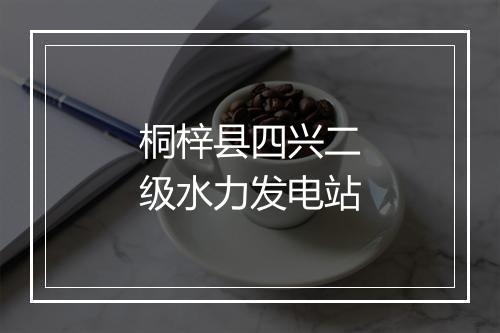 桐梓县四兴二级水力发电站