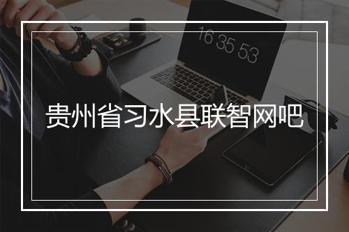 贵州省习水县联智网吧