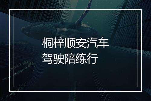 桐梓顺安汽车驾驶陪练行