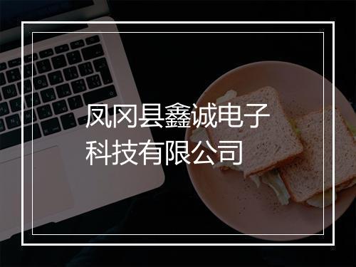 凤冈县鑫诚电子科技有限公司