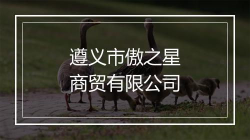 遵义市傲之星商贸有限公司