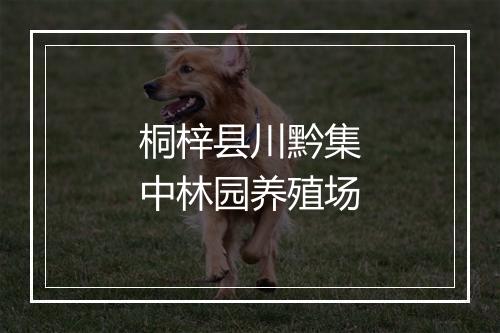 桐梓县川黔集中林园养殖场