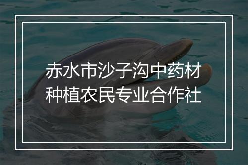 赤水市沙子沟中药材种植农民专业合作社