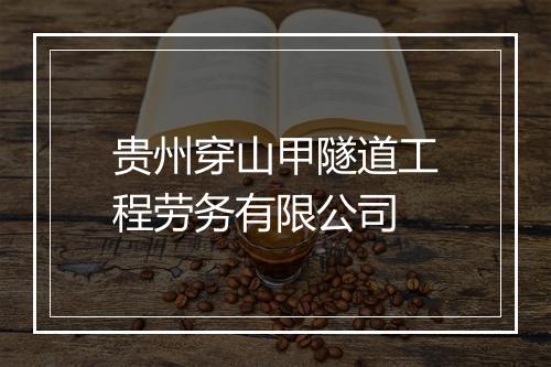 贵州穿山甲隧道工程劳务有限公司
