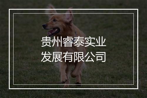 贵州睿泰实业发展有限公司