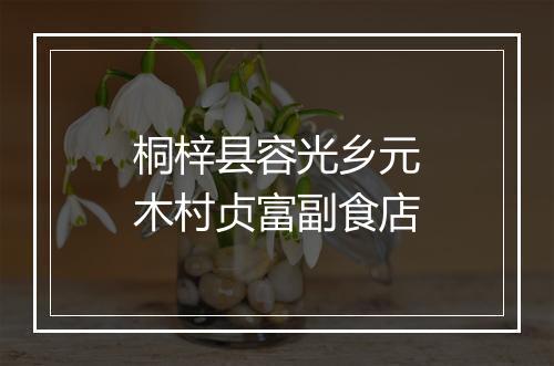桐梓县容光乡元木村贞富副食店