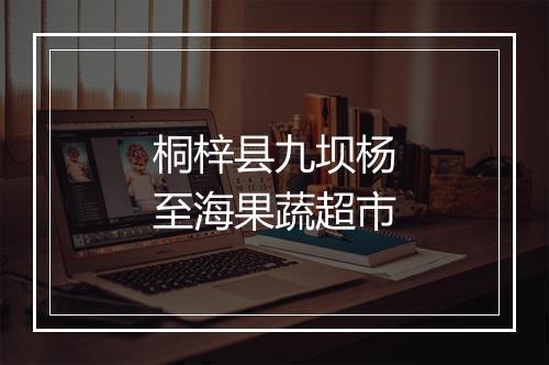 桐梓县九坝杨至海果蔬超市