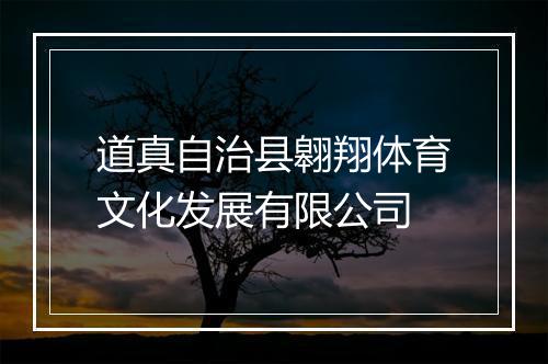 道真自治县翱翔体育文化发展有限公司