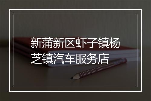新蒲新区虾子镇杨芝镇汽车服务店