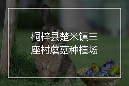 桐梓县楚米镇三座村蘑菇种植场