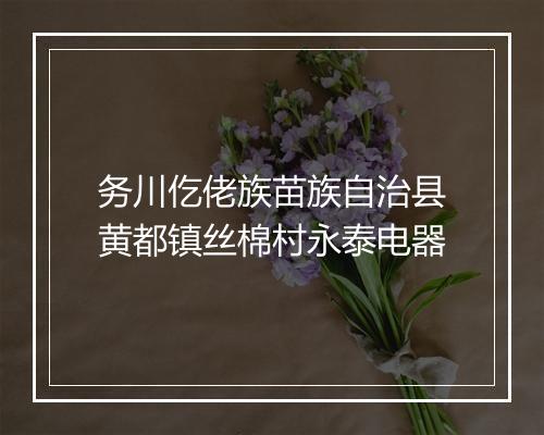 务川仡佬族苗族自治县黄都镇丝棉村永泰电器