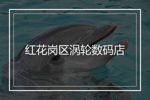 红花岗区涡轮数码店