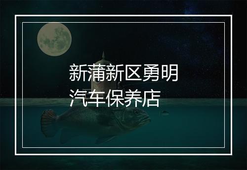 新蒲新区勇明汽车保养店