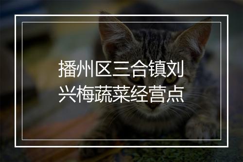 播州区三合镇刘兴梅蔬菜经营点