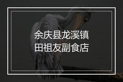 余庆县龙溪镇田祖友副食店