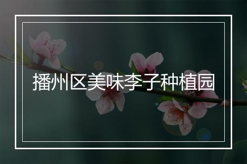 播州区美味李子种植园