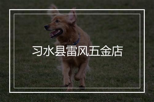 习水县雷风五金店