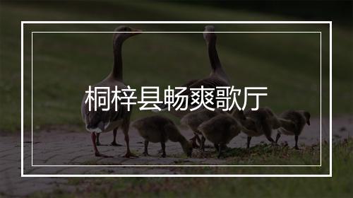桐梓县畅爽歌厅