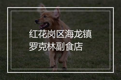 红花岗区海龙镇罗克林副食店