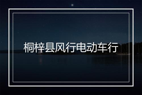 桐梓县风行电动车行