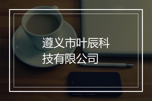 遵义市叶辰科技有限公司