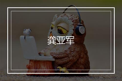 龚亚军